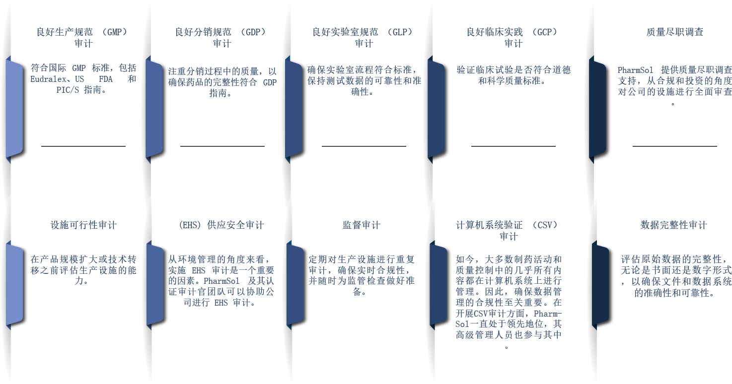 Audit Services