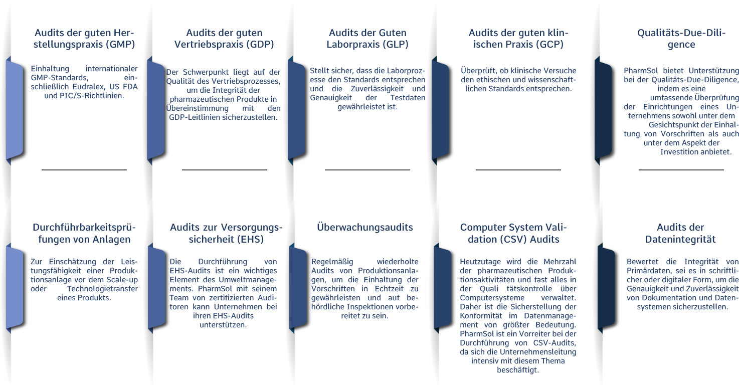 Audit Services